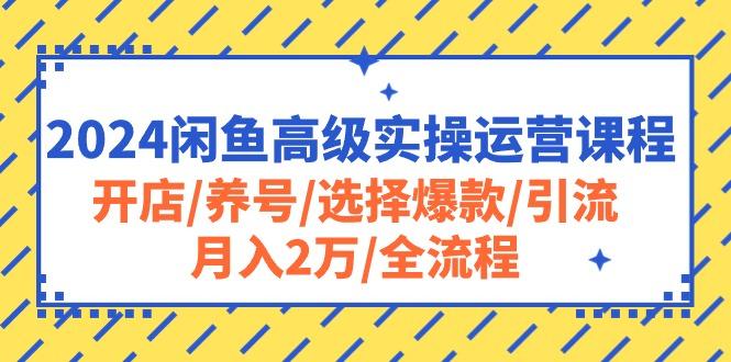 2024闲鱼高级实操运营课程：开店/养号/选择爆款/引流/月入2万/全流程-识享社