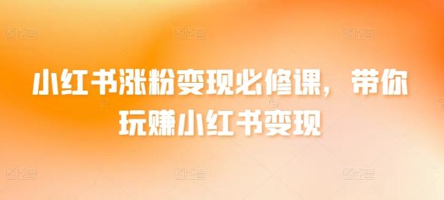 小红书涨粉变现必修课，带你玩赚小红书变现-识享社