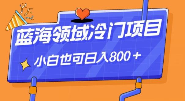 蓝海领域冷门赛道，一单39.9，日入800＋-识享社