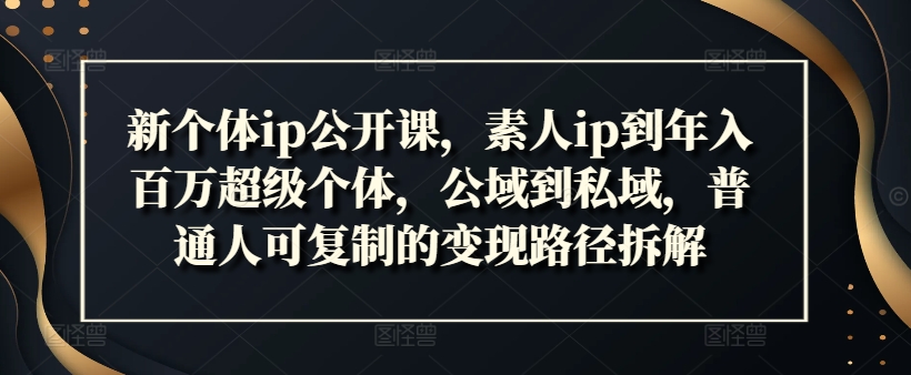 新个体ip公开课,素人ip到年入百万超级个体,公域到私域,普通人可复制的变现路径拆解