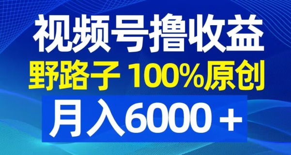 视频号野路子撸收益，100%原创，条条爆款，月入6000＋【揭秘】-识享社