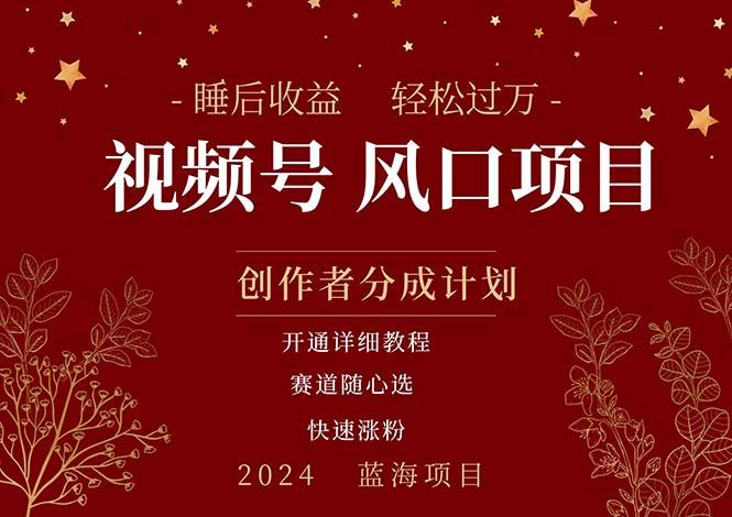 拥有睡眠收益的微信视频号大风口项目，轻松月入过万+，多赛道选择，可…-识享社