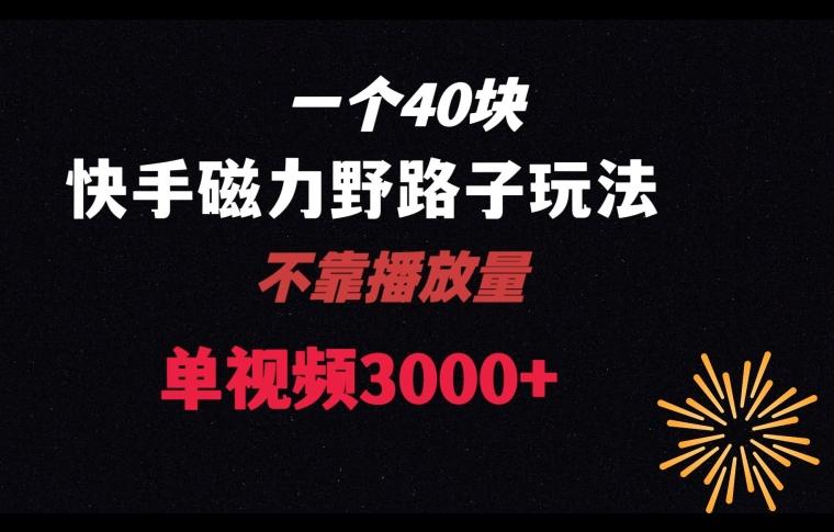 一个40块，快手联合美团磁力新玩法，无视机制野路子玩法，单视频收益4位数【揭秘】-识享社