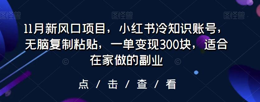 11月新风口项目,小红书冷知识账号,无脑复制粘贴,一单变现300块,适合在家做的副业-识享社