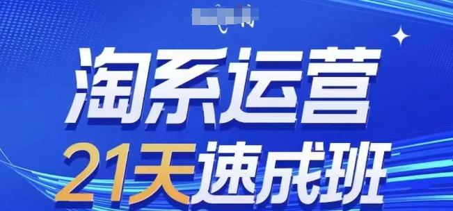 淘系运营21天速成班(更新24年7月),0基础轻松搞定淘系运营,不做假把式-识享社
