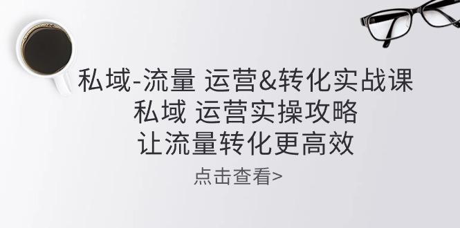 私域-流量 运营&转化实操课：私域 运营实操攻略 让流量转化更高效-识享社