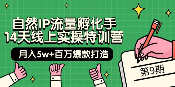 (9881期)自然IP流量孵化手 14天线上实操特训营【第9期】月入5w+百万爆款打造 (74节)-识享社