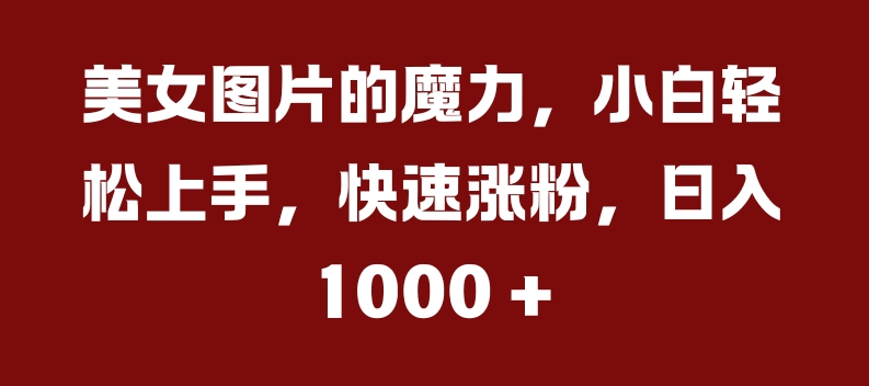 美女图片的魔力,小白轻松上手,快速涨粉,日入几张【揭秘】-识享社