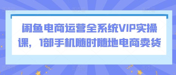 闲鱼电商运营全系统VIP实操课，1部手机随时随地电商卖货-识享社