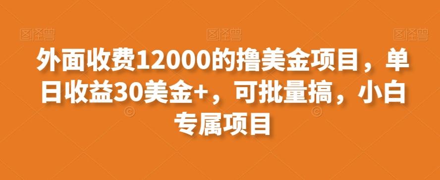 外面收费12000的撸美金项目，单日收益30美金+，可批量搞，小白专属项目-识享社