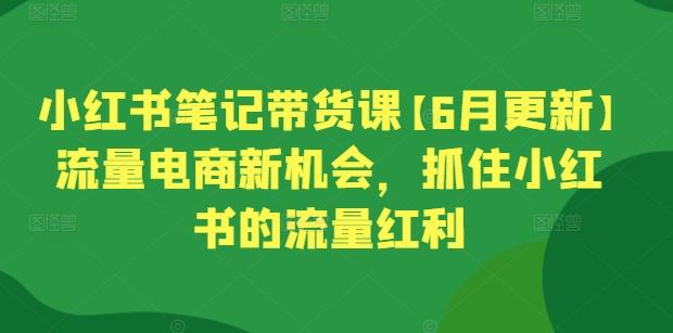 小红书笔记带货课【6月更新】流量电商新机会,抓住小红书的流量红利-识享社