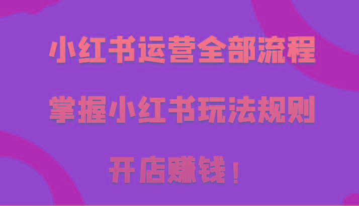 小红书运营全部流程，掌握小红书玩法规则，开店赚钱！-识享社
