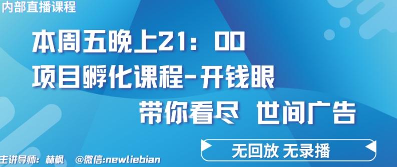 4.26日内部回放课程《项目孵化-开钱眼》赚钱的底层逻辑【揭秘】-识享社