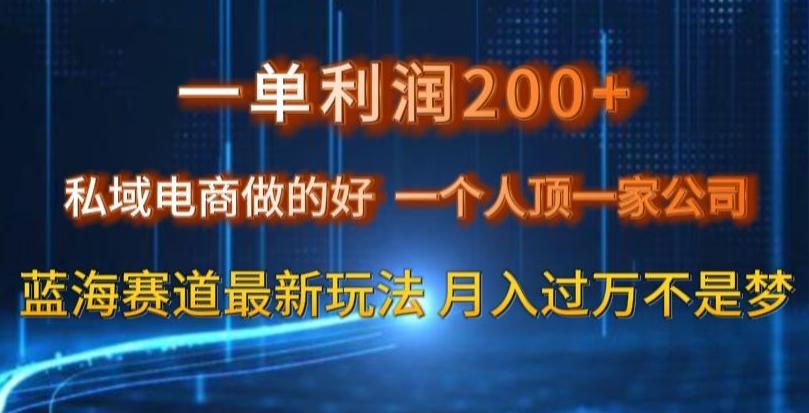 一单利润200私域电商做的好，一个人顶一家公司蓝海赛道最新玩法【揭秘】-识享社