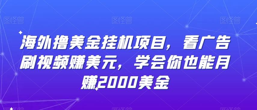 海外撸美金挂机项目，看广告刷视频赚美元，学会你也能月赚2000美金-识享社