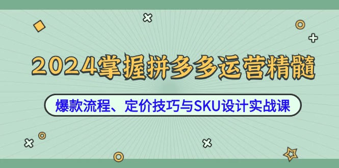 2024掌握拼多多运营精髓:爆款流程、定价技巧与SKU设计实战课-识享社