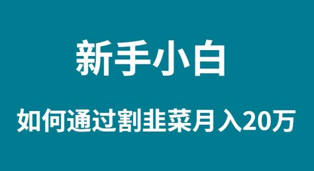(9308期)新手小白如何通过割韭菜月入 20W-识享社