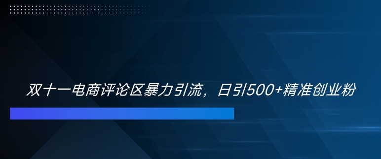 双十一电商评论区暴力引流,日引500+精准创业粉【揭秘】-识享社