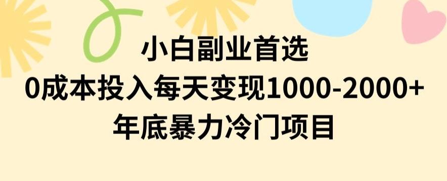 小白副业首选，0成本投入，每天变现1000-2000年底暴力冷门项目【揭秘】-识享社