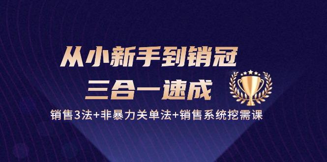 从小新手到销冠 三合一速成：销售3法+非暴力关单法+销售系统挖需课 (27节-识享社