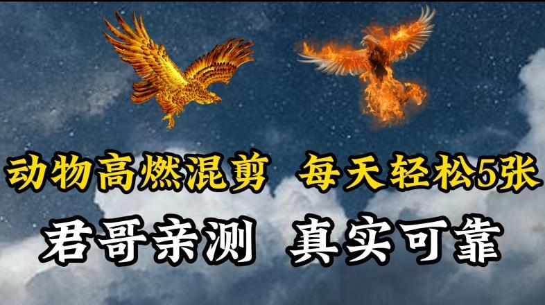 动物超燃混剪，每天轻松5张，剪辑简单大家爱看【揭秘】-识享社