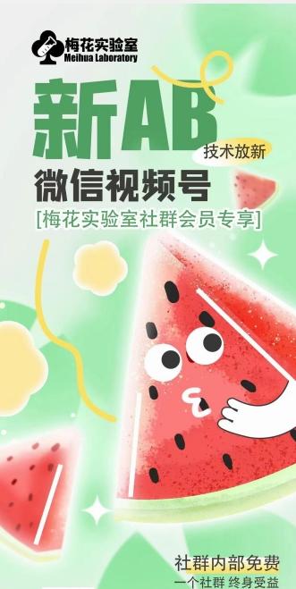 梅花实验室2024年AB技术视频号AB合成破解版-识享社