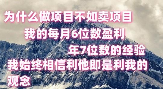做项目不如卖项目，每月6位数盈利，年7位数经验-识享社