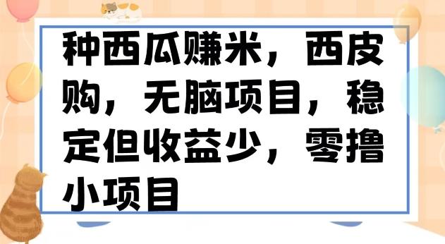 种西瓜赚米，西皮购稳定长久零撸小项目-识享社