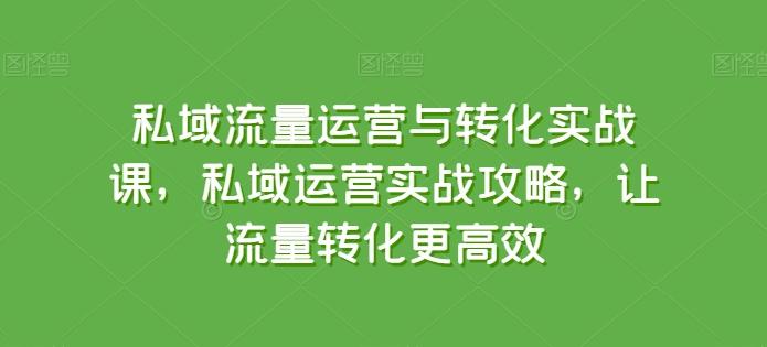 私域流量运营与转化实战课,私域运营实战攻略,让流量转化更高效-识享社