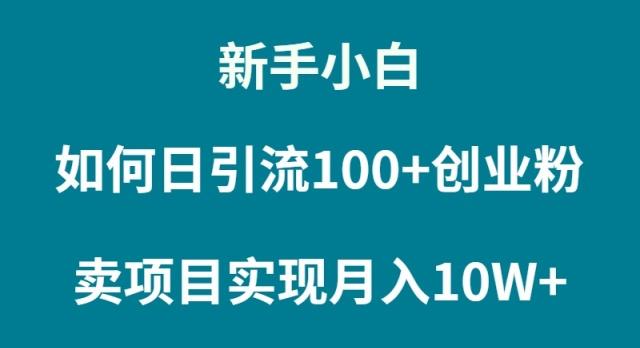 (9556期)新手小白如何通过卖项目实现月入10W+-识享社