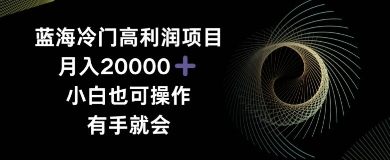 蓝海冷门高利润项目月入2000,小白也可操作有手就会-识享社